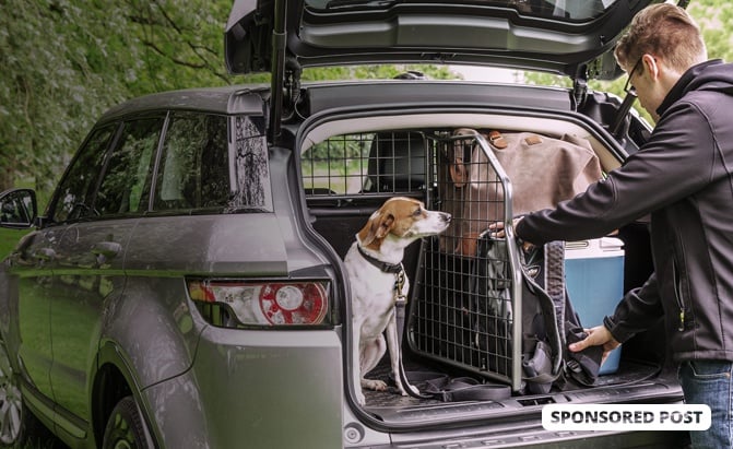 Why Travall Guards and Dividers Are the Best Travel Solution for Pet-Owners