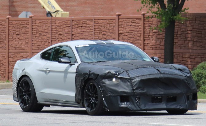 ford shelby gt500 mustang spy photo