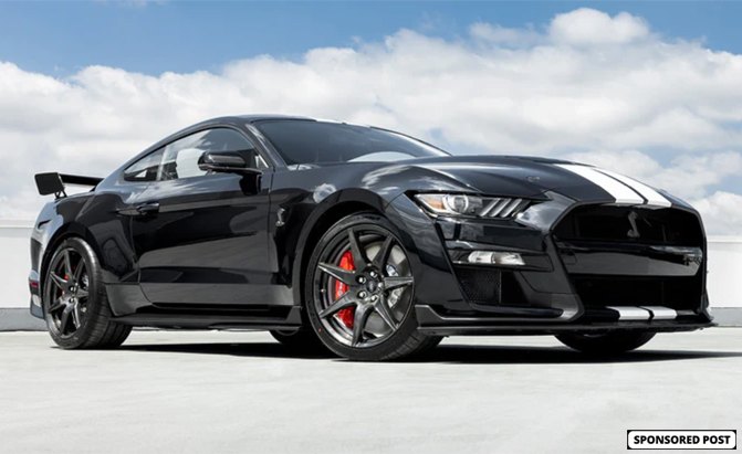 Ford Mustang Shelby GT500 Feature